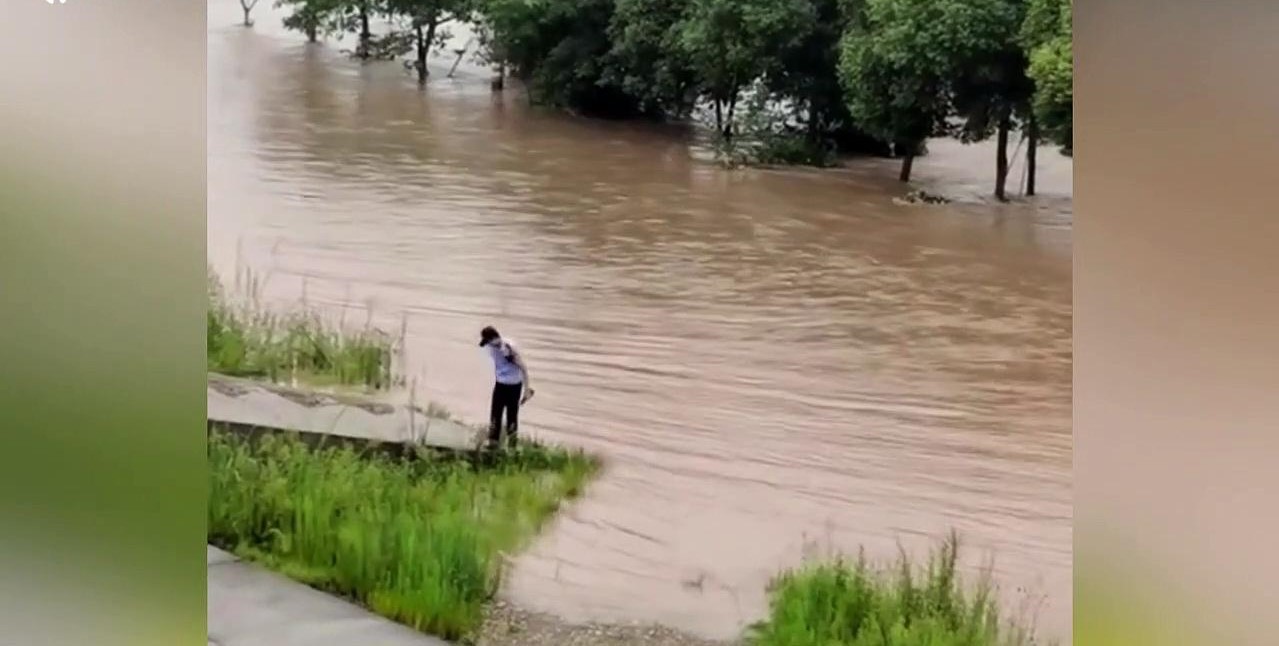 Κίνα: Σκυλίτσα βουτάει σε φουσκωμένο ποταμό για να σώσει το κουτάβι της (βίντεο)