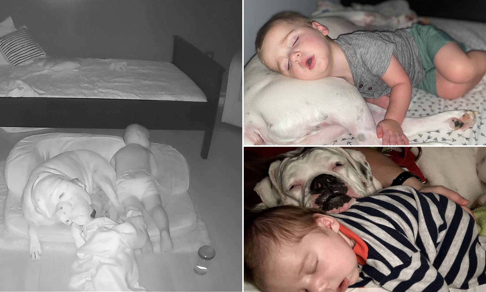 Επικό μωρό: Κατέβηκε από το κρεβάτι του για να κοιμηθεί με τον σκύλο (βίντεο)