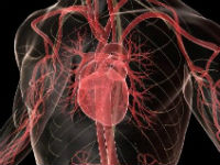 Η καρδιακή ανεπάρκεια αυαξάνει τον κίνδυνο εμφάνισης καρκίνου