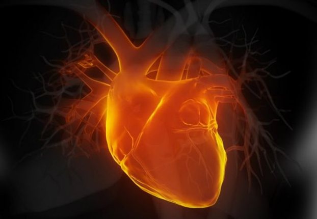 Ένας στους δύο με καρδιακή ανεπάρκεια χάνει την ζωή του