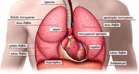 Μάθετε τα πάντα για το πνευμονικό οίδημα