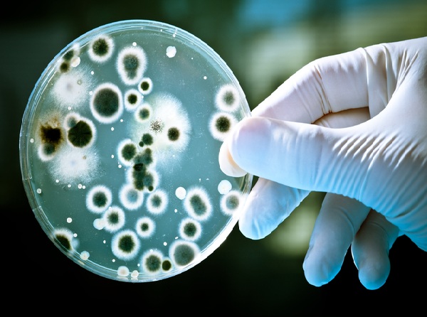 Βρήκαν την “αχίλλειο πτέρνα” των ανθεκτικών μικροβίων