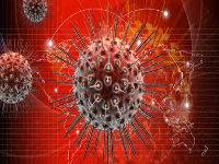 Απειλεί με πανδημία η”Φερράρι των ιών”