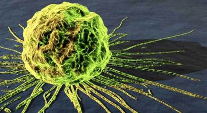 Ένα γονίδιο εμπλέκεται σε τρεις μορφές καρκίνου