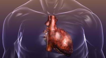 Εντός του 2012 η πρώτη μεταμόσχευση τεχνητής καρδιάς