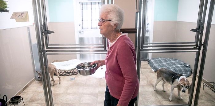 Νιου Τζέρσεϊ: Kαταφύγιο επιλέγει μόνο ηλικιωμένους σκύλους καθώς σπανίως υιοθετούνται (φωτό)