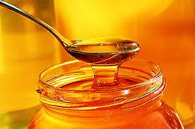 Το μέλι και η αντιβακτηριακή του δράση