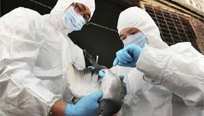 Το πρώτο κρούσμα της γρίπης των πτηνών σε ανθρωπο επιβεβαιώθηκε στο Χόνγκ Κόνγκ