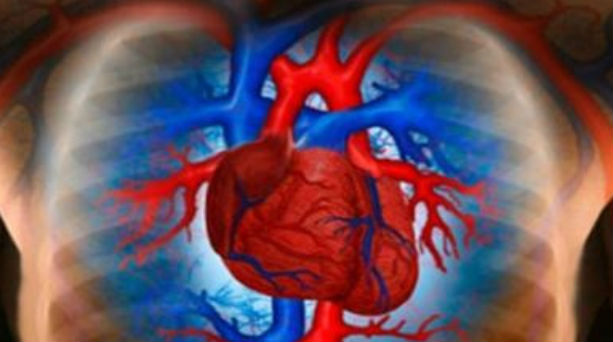 Πρωτοποριακή θεραπεία για την οξεία καρδιακή ανεπάρκεια