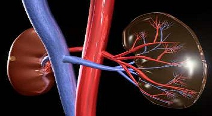 Χρόνια νεφρική ανεπάρκεια: Υπάρχουν ελπίδες