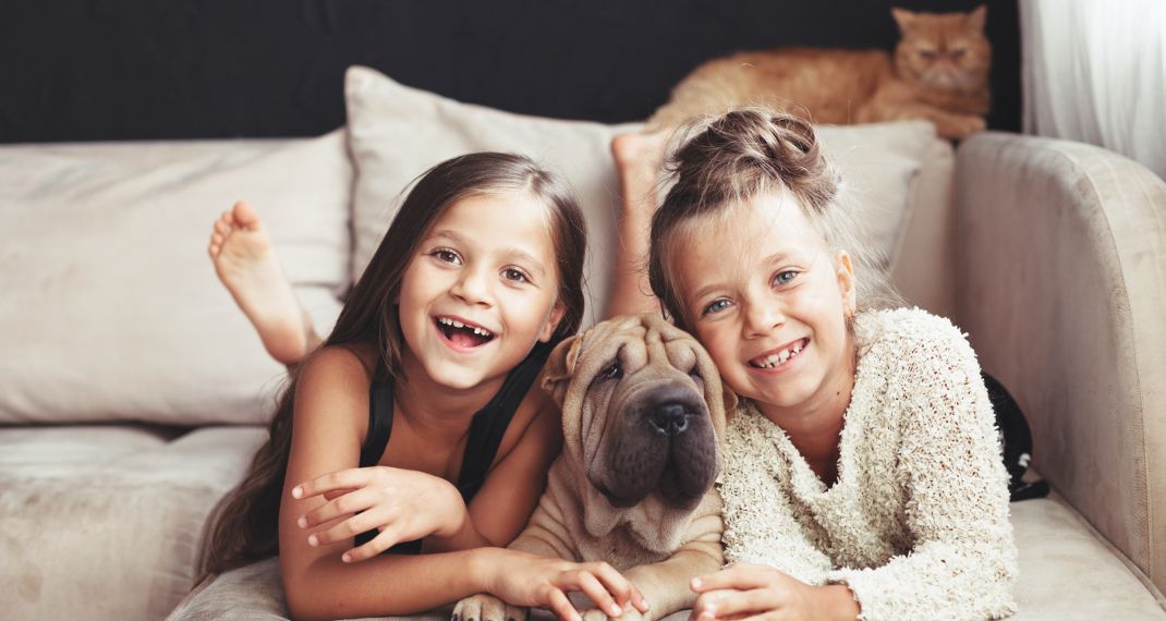 Παιδιά και σκύλοι: 7 συμβουλές για να παίζουν με ασφάλεια