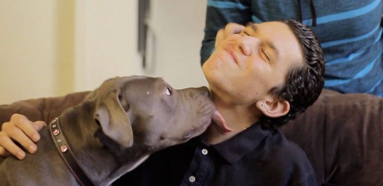 Σκύλος ο καλύτερος φίλος του ανθρώπου: Πιτ-μπουλ «σώζει» τη ζωή παιδιού με αυτισμό (βίντεο)