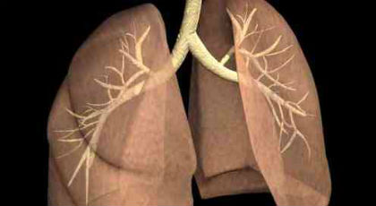 Βλαστοκύτταρα δίνουν λύσεις σε θανατηφόρες παθήσεις των πνευμόνων