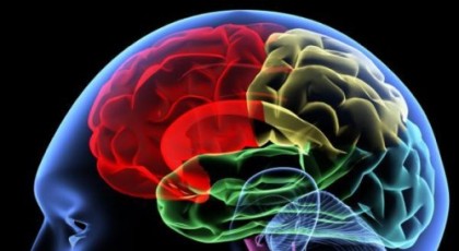 Ο εγκέφαλος “θεραπεύει” τις χρόνιες παθήσεις!