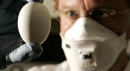 Mισές αλήθειες για τον H5N1. Επιστημονικός πόλεμος σε εξέλιξη