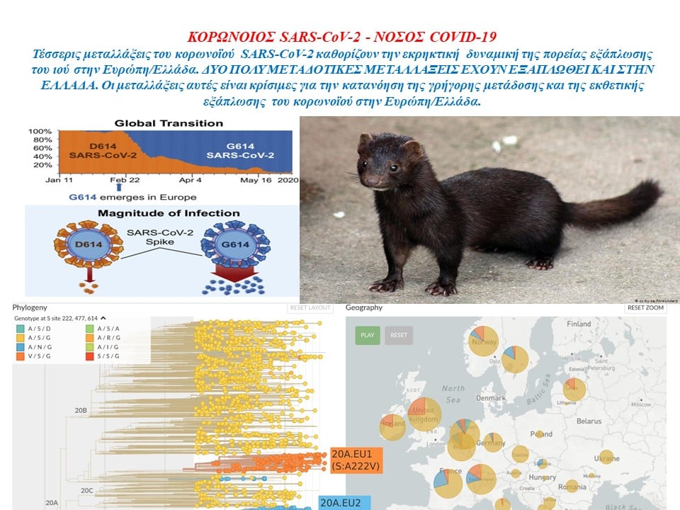 Δύο πολύ μεταδοτικές μεταλλάξεις του κορωνοϊού έχουν εξαπλωθεί  στην Ελλάδα