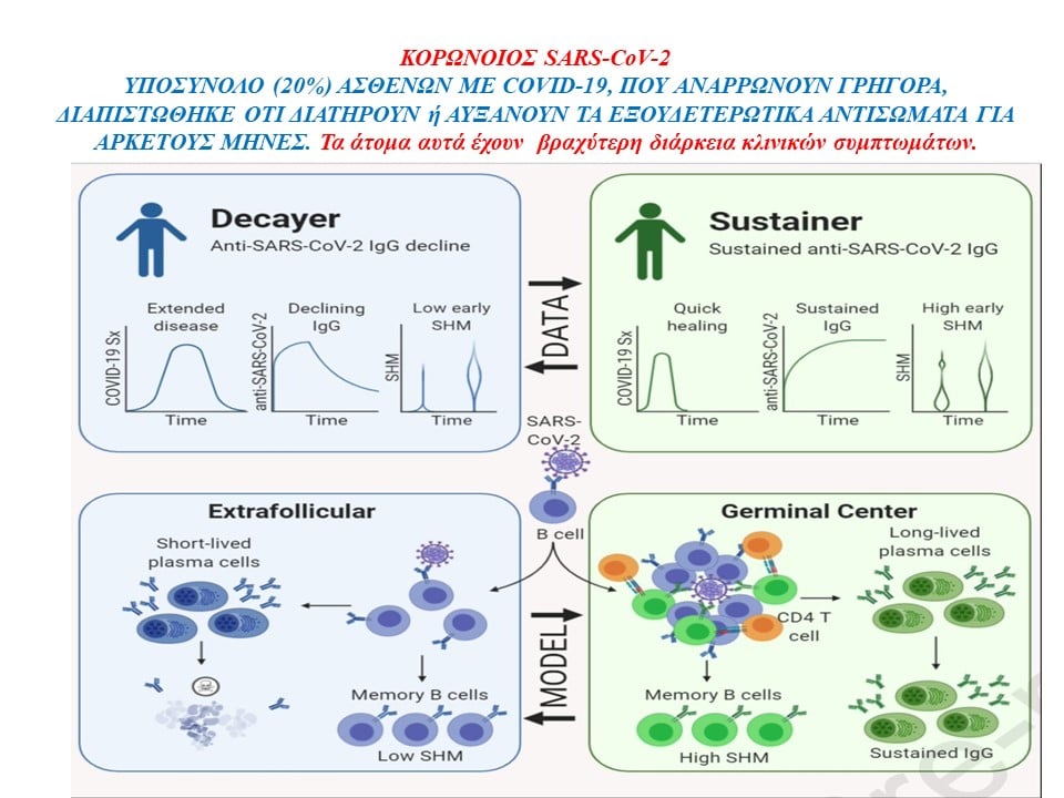 Ασθενείς με Covid-19 που αναρρώνουν διατηρούν τα αντισώματα τους για αρκετούς μήνες