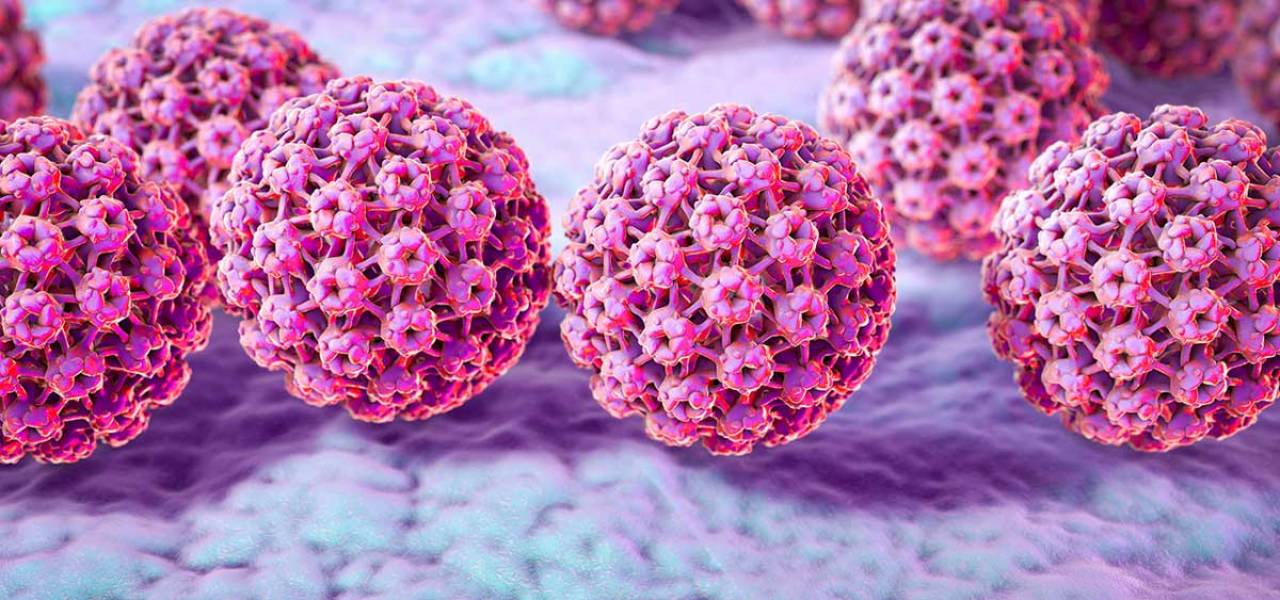 Ιός HPV: Όλα όσα πρέπει να ξέρουν άνδρες – γυναίκες