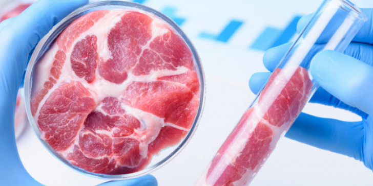 «Συνθετικό ή τεχνητό κρέας»: Τι είναι και πώς επηρεάζει το περιβάλλον