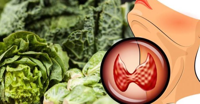 Διατροφή και θυροειδής: Μπορεί η διατροφή να επηρεάσει τη λειτουργία του θυρεοειδούς;