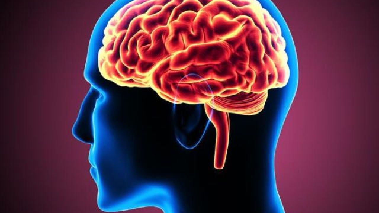 Παθολογοανατομικά ευρήματα στους εγκεφάλους ασθενών με νόσο Covid-19