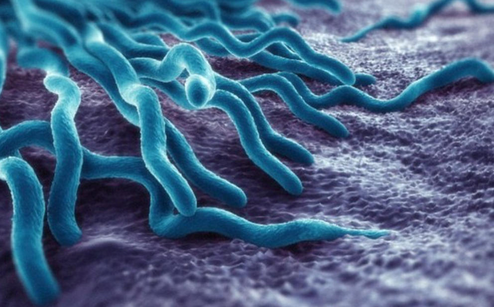 Δερματικό Μικροβίωμα: Όλα όσα πρέπει να γνωρίζετε