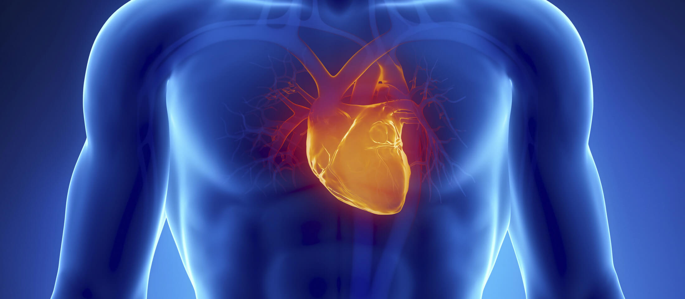 Έλεγχος ισχαιμίας και βιωσιμότητας του μυοκαρδίου με μαγνητική καρδιάς (Stress Perfusion CMR)