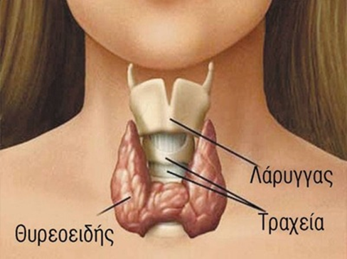 Θυρεοειδής: 9 συμπτώματα που δεν πρέπει να αμελήσετε