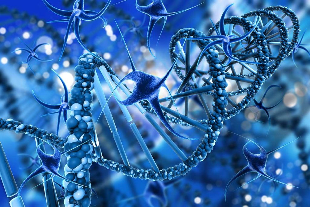 Το πρόγραμμα του ανθρώπινου γονιδιώματος (Human Genome Project)- Η επανάσταση στην Γενετική