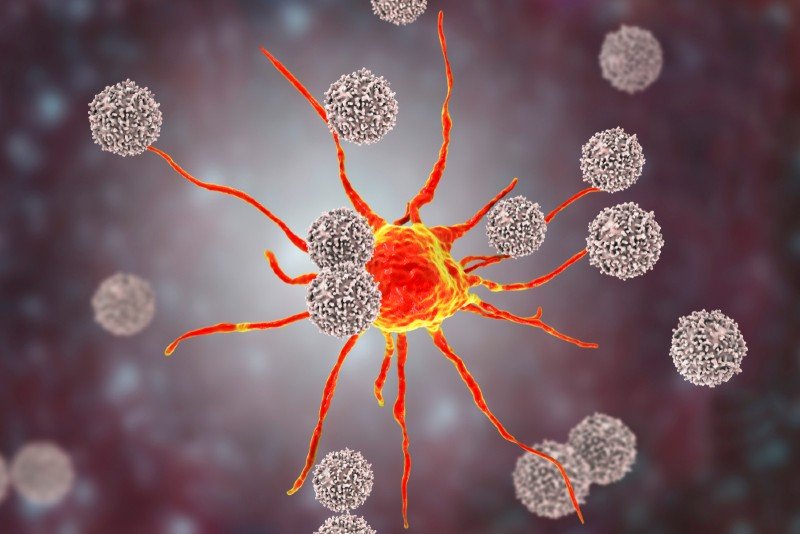 Πώς τα  T λεμφοκύτταρα θα μπορούσαν να ενισχύσουν την ανοσία έναντι του SARS-CoV-2