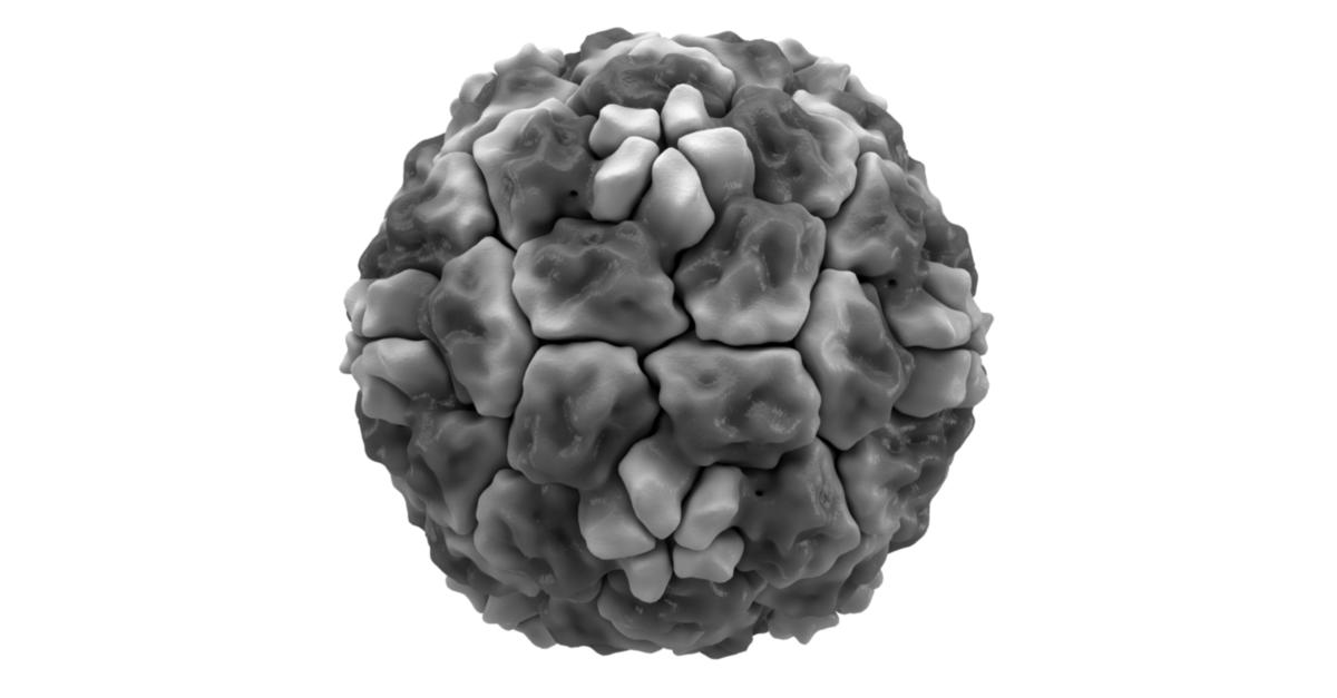 Ένας ιός του κοινού κρυολογήματος στη μάχη κατά της πανδημίας της COVID-19