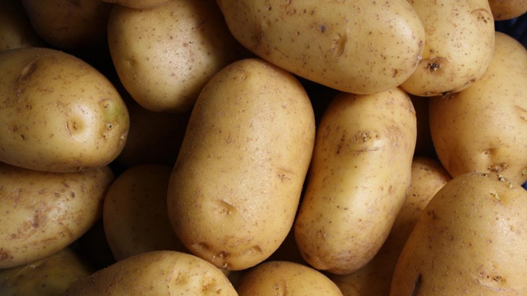 Πατάτες: Eγκυμονούν τεράστιο κίνδυνο για την υγεία αν δεν τις συντηρείτε σωστά