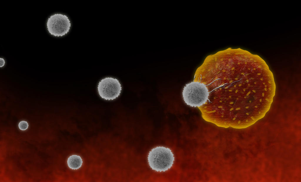 Νέα δεδομένα για την απόκριση Τ λεμφοκυττάρων στην COVID-19: Αντιμετωπίζει και τα νεότερα στελέχη του ιού