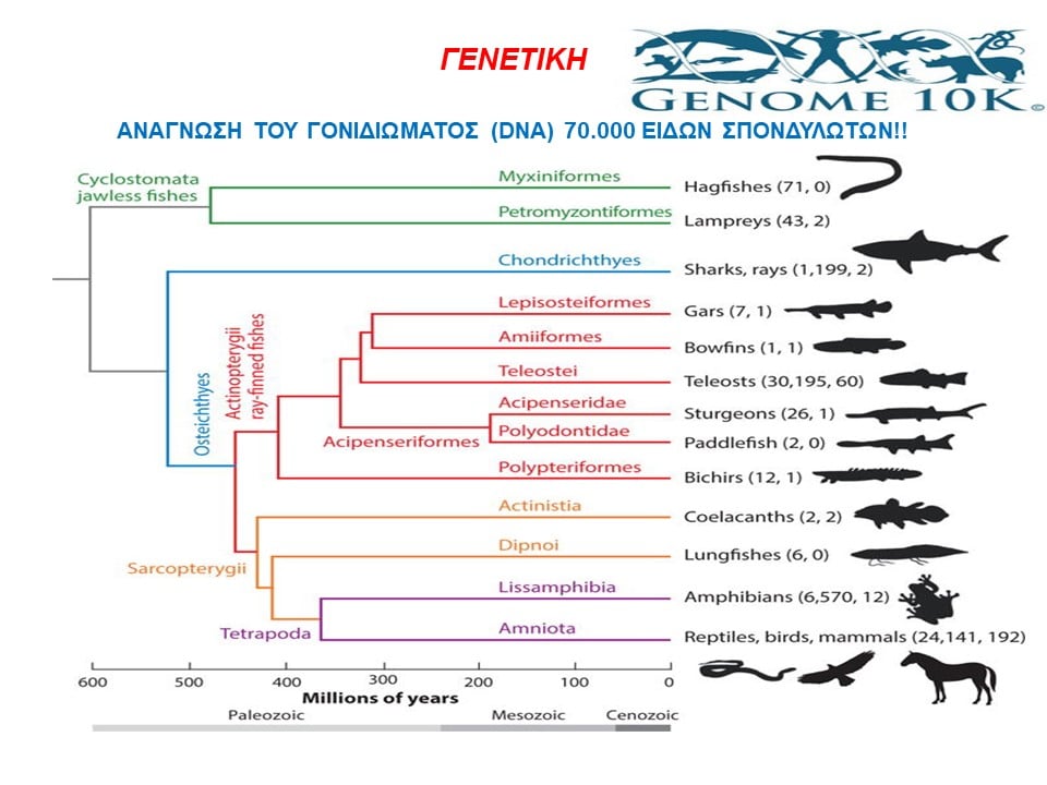 Ανάγνωση του γονιδιωματος (DNA) 70.000 ειδών σπονδυλωτών!