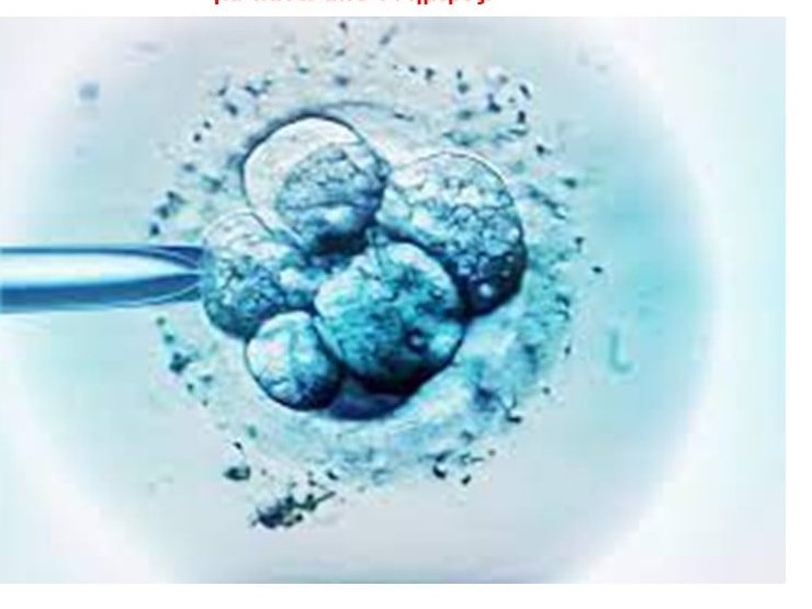 Ανθρώπινα έμβρυα: Αμφιλεγόμενες νέες οδηγίες θα επιτρέψουν πειράματα σε πιο ώριμα  έμβρυα