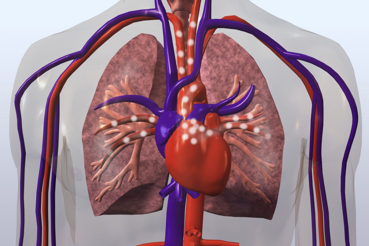 Πνευμονική καρδία: Ποια είναι τα κύρια χαρακτηριστικά της