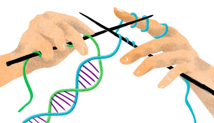 Τεστ πατρότητας- Εξέταση DNA  μέσω “ψυχαγωγικής γενετικής” στο διαδίκτυο