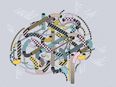 Τα πρώτα βήματα για την αποκρυπτογράφηση του ανθρώπινου εγκεφάλου!