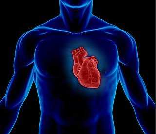 Οι άνδρες είναι πιο επιρρεπείς στην καρδιακή νόσο: Γιατί;