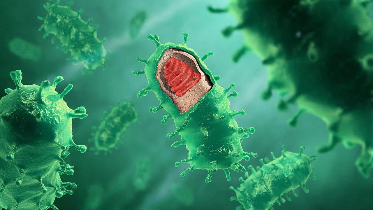 Ποιοι είναι οι 12 πιο επικίνδυνοι ιοί της πρόσφατης ιστορίας;