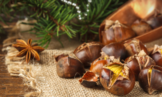 Κάστανα – Ο καρπός των Χριστουγέννων: Ιδιότητες συστατικά θερμίδες και έξι οφέλη