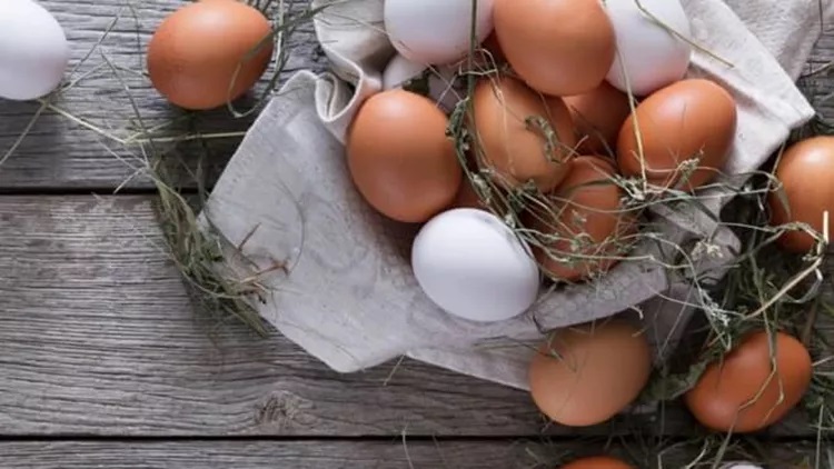 Λευκά ή καφέ αυγά είναι τα καλύτερα για τη διατροφή σου;