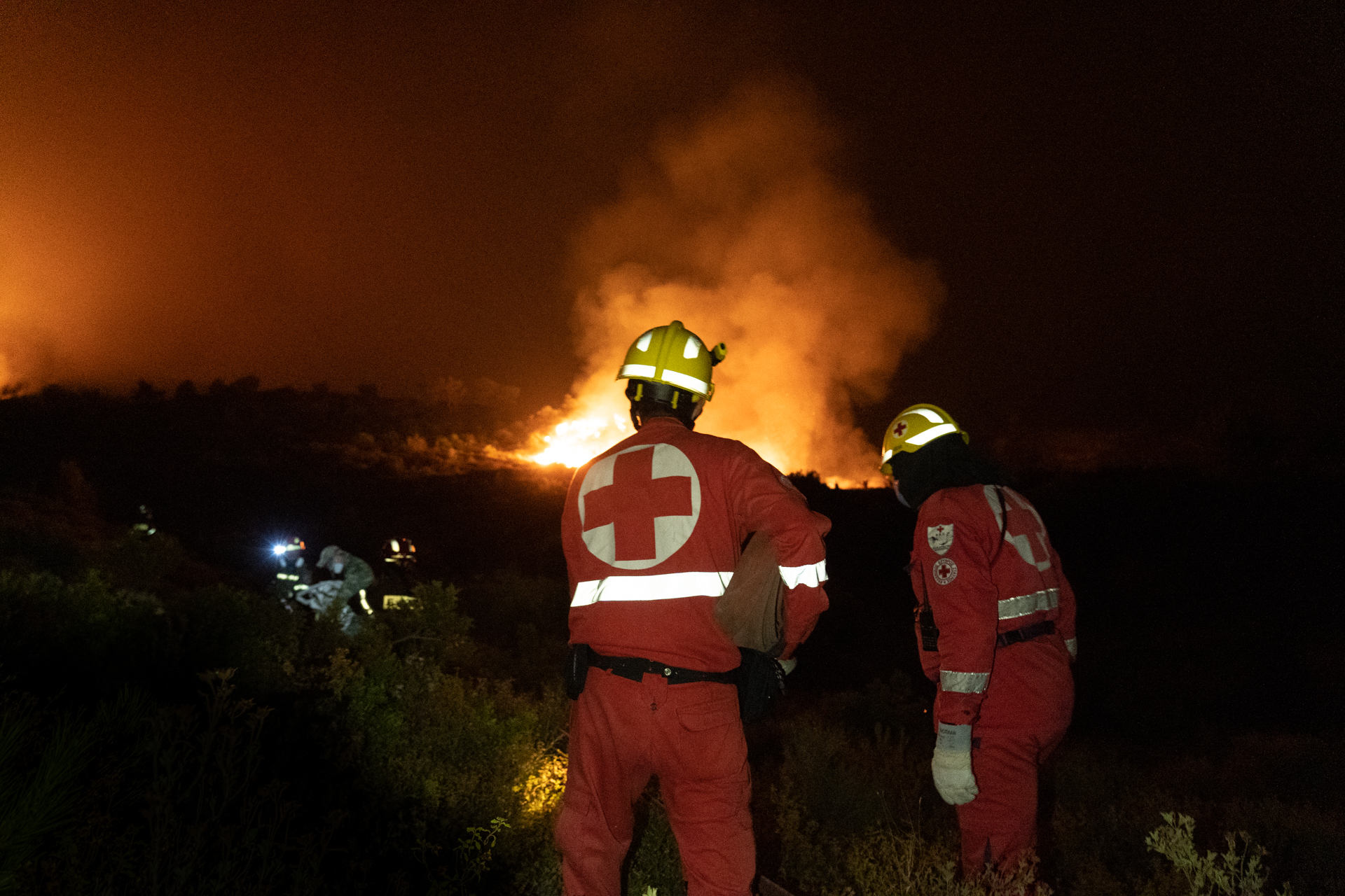 Ε.Ε.Σ.: Πρόγραμμα οικονομικής ενίσχυσης πυρόπληκτων