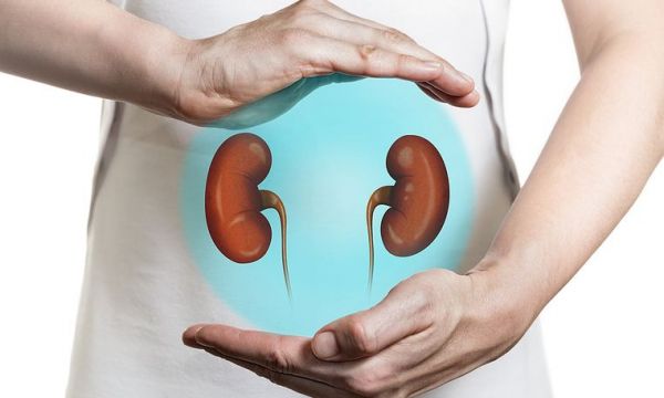 Νέα μελέτη: Ασφαλής η μεταμόσχευση νεφρών από δότες που έχουν νοσήσει με κορωνοϊό