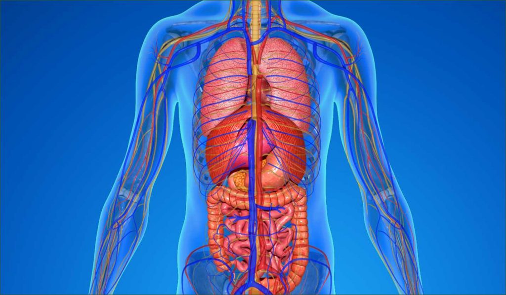 10+5 «κόλπα» του σώματος που δεν γνωρίζατε