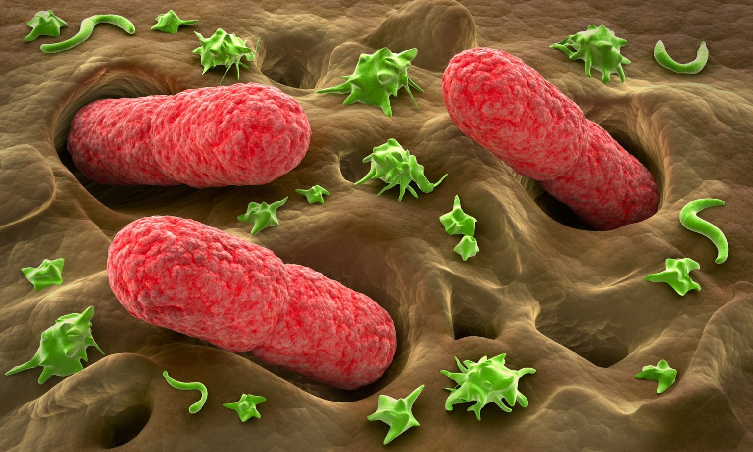 Νέα έρευνα: Βακτήριο που βρίσκεται στο έντερο μπορεί να «πυροδοτήσει» τη ρευματοειδή αρθρίτιδα