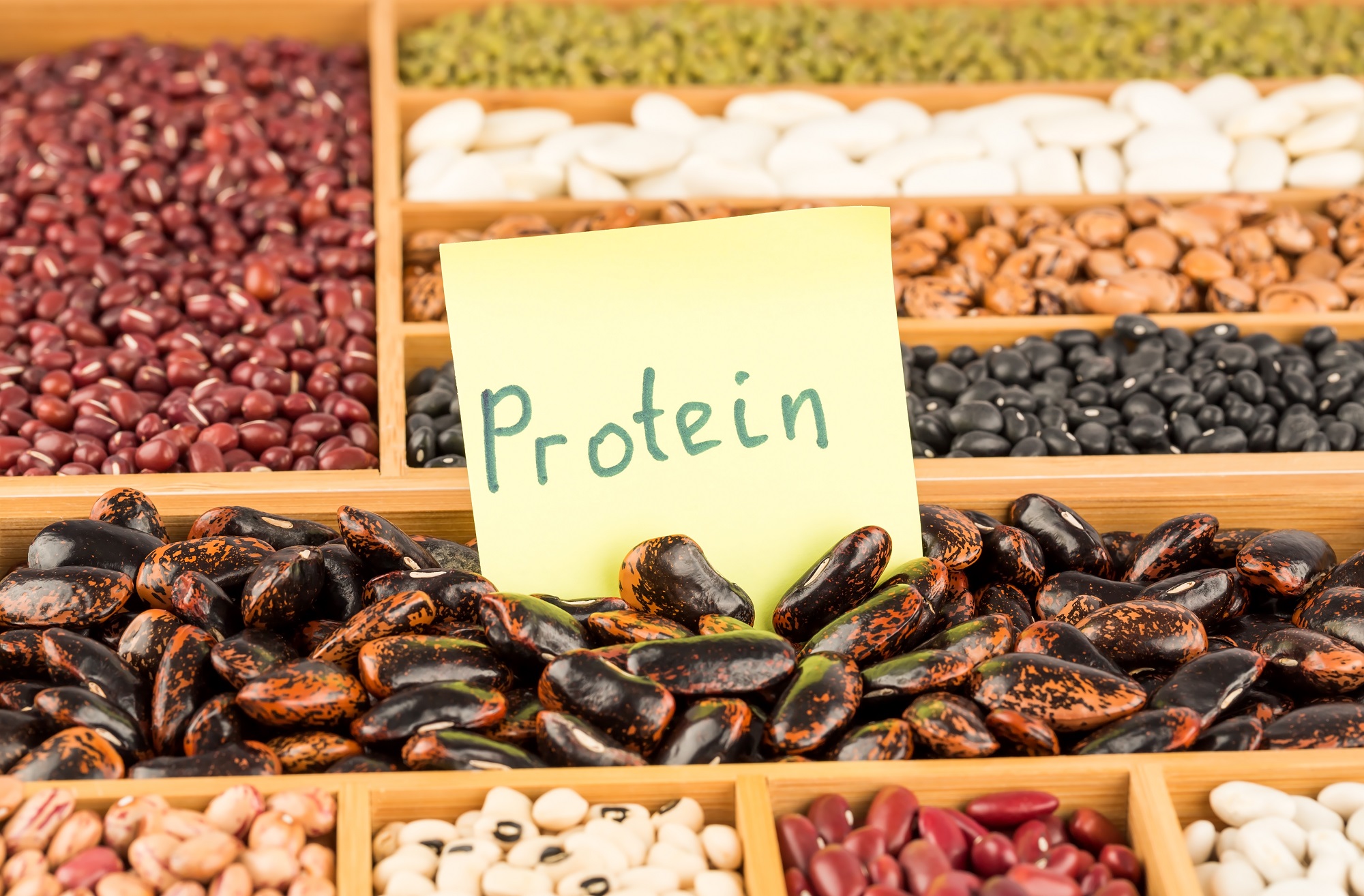 Πλήρεις πρωτεΐνες: Τι ακριβώς είναι και σε ποιες τροφές μπορείτε να τις βρείτε