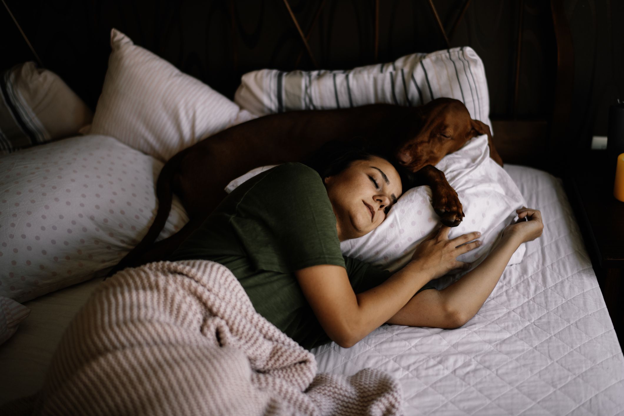 Ύπνος παρέα με τον σκύλο; Ποια είναι τα υπέρ αυτής της απόφασης