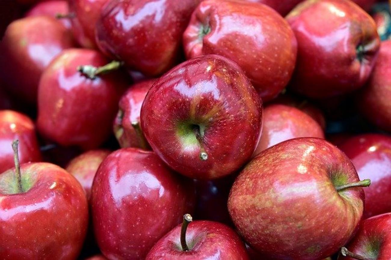 «Ένα μήλο την ημέρα τον γιατρό τον κάνει πέρα»: Τα οφέλη που έχει για την υγεία – Θερμίδες και βιταμίνες