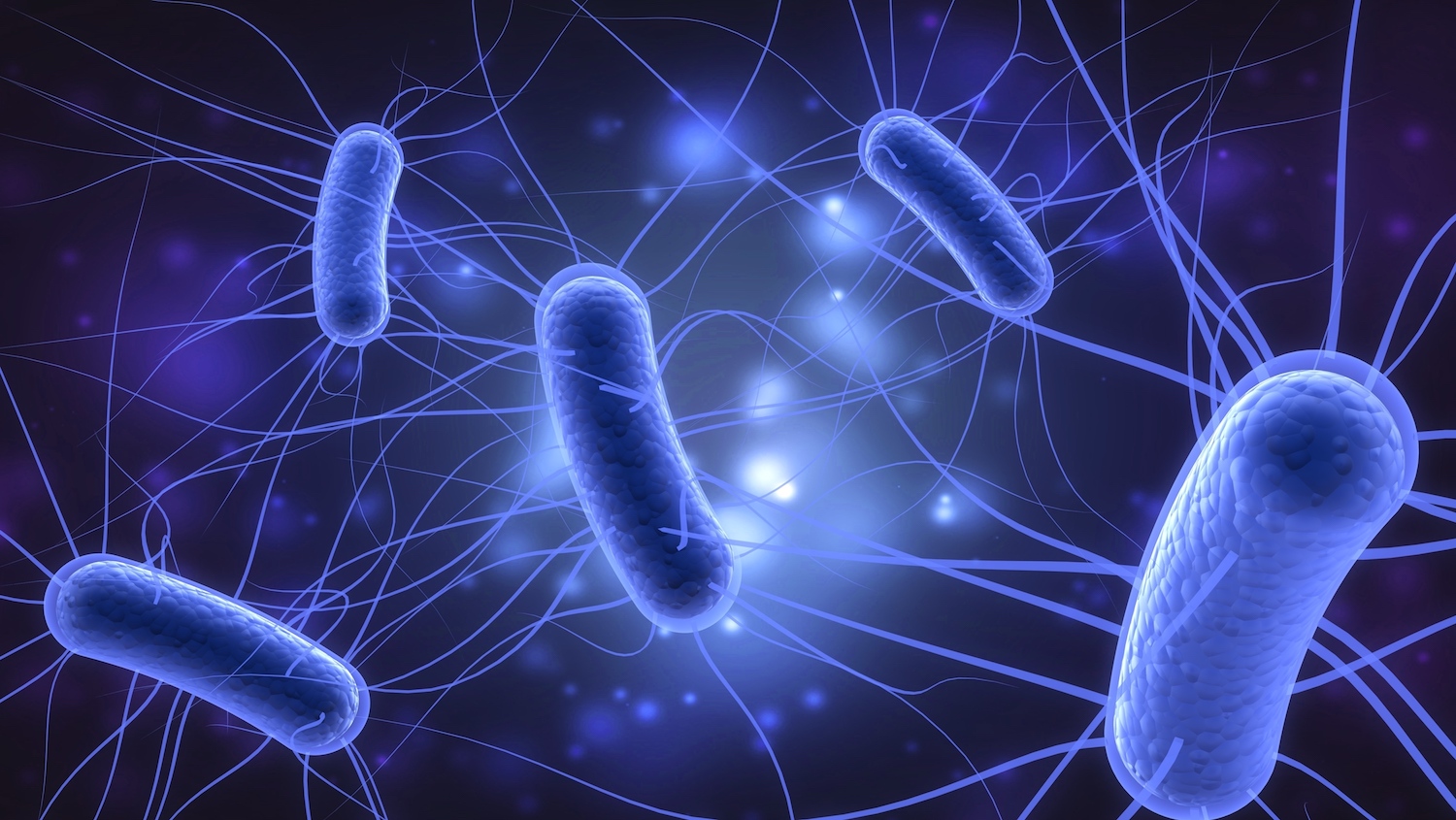 Νέα μελέτη: Το βακτήριο E.coli μπορεί να αναπτύξει ανησυχητικά υψηλή αντοχή στα αντιβιοτικά